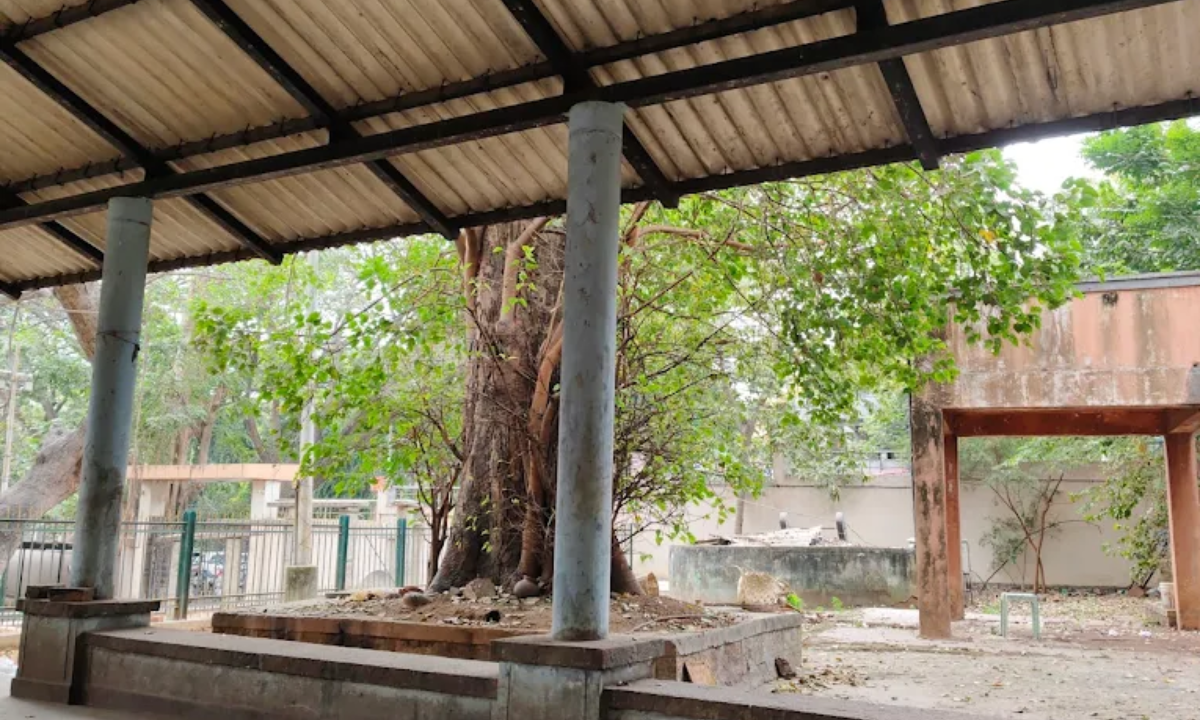 outisde of chamrajpet woodenn crematorium