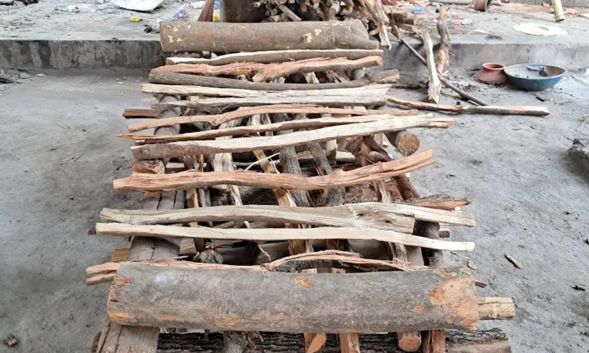 woods of chamrajpet crematorium